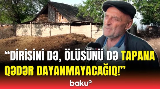 Şəkidə 64 yaşlı qadın yoxa çıxıb | DİN hadisə ilə bağlı məlumat yaydı