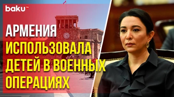 Омбудсмен АР рассказала о представленных в авторитетные организации отчётах