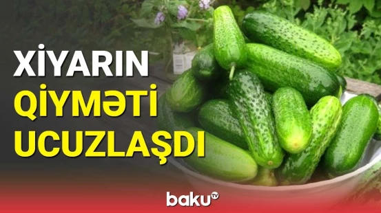 Xiyarın qiymətinin ucuzlaşmasının səbəbi nədir? | Satıcılar narazıdır