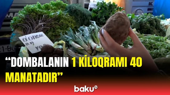 Bazarda min bir dərdin dərmanı olan yabanı bitkilərin qiyməti