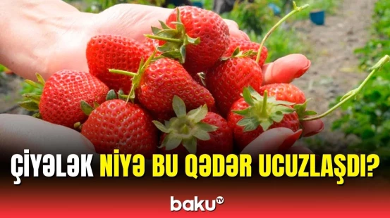 Çiyələyin qiyməti günü-gündən aşağı düşür | Fermerlər narazıdır