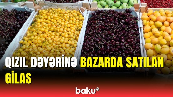 Bazarda gözü kəlləyə çıxaran meyvələr | Qiymətlərin baha olmasının səbəbi