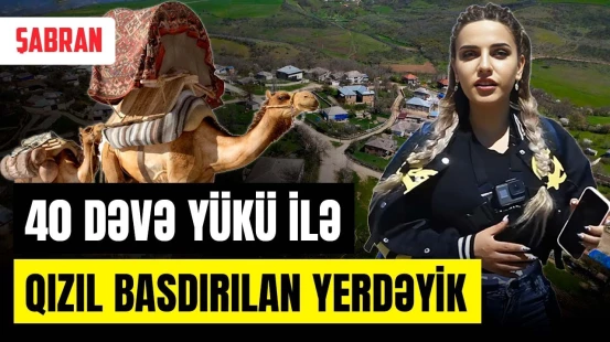 Biznesmen çobanın olduğu, tarixi abidələrlə zəngin Şabran - KƏNDİNƏ QAYIT