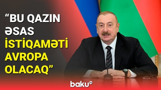 Prezident İlham Əliyev alternativ enerjinin əhəmiyyəti barədə danışdı