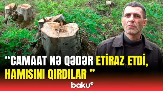 Qusar meşələrində nə baş verir? - Qurumdan təcili açıqlama