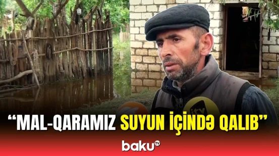 Qazaxın təsərrüfat sahibləri acınacaqlı vəziyyətdə | Qurum nə deyir?