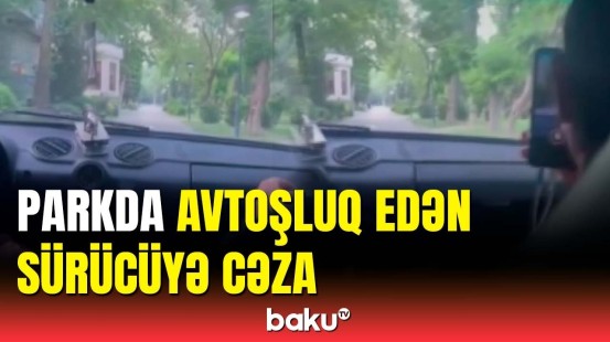 Parkda avtoxuliqanlıq edən gənc həbs olundu