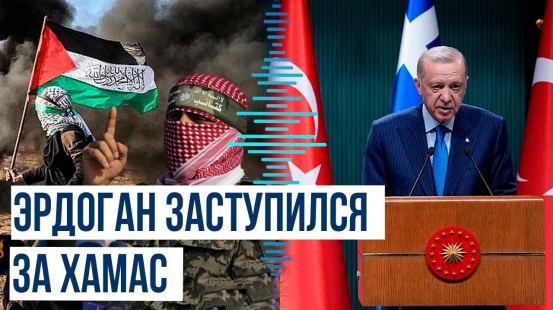 Эрдоган на совместной конференции с премьер-министром Греции Мицотакисом сделал ряд заявлений