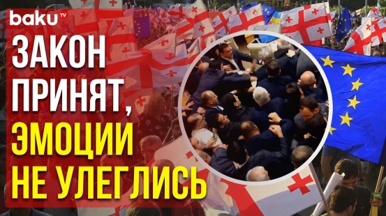 Принятие закона об иностранных агентах в Грузии сопровождалось дракой в парламенте