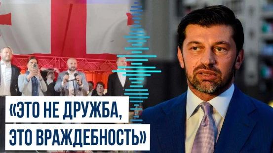 В Грузии раскритиковали глав МИД Исландии, Литвы и Эстонии за посещение митинга