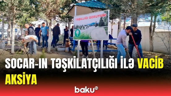 SOCAR əməkdaşları ağacəkmə aksiyasında iştirak etdi