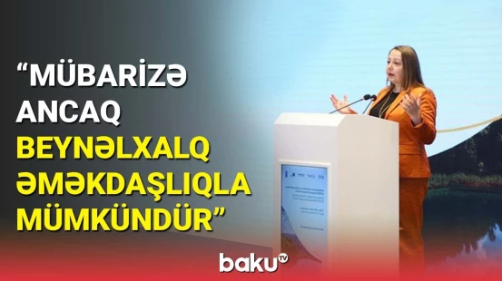 Bakı buna görə COP29-a ev sahibliyi edəcək | BMT rəsmisi