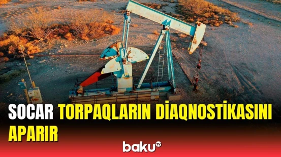 Torpaqların tərkibindəki qatqılar müəyyənləşdiriləcək | SOCAR-ın vitse-prezidenti