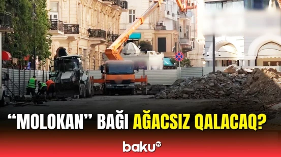 “Molokan” bağında hansı dəyişikliklər olacaq? - Rəsmi açıqlama