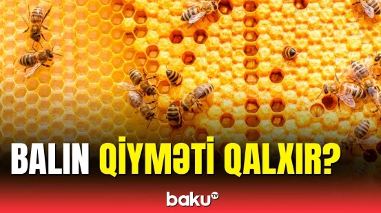 Bal bahalaşa bilər | Fermerlər dəyən ziyanın səbəbindən danışdı