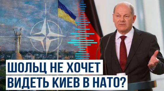 Канцлер Германии Шольц оценил возможности Украины для вступления в НАТО