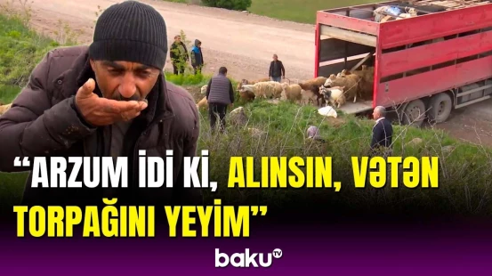 32 il sonra Minkəndə mal-qara köçü | "Maral, Ceyran, Qaragöz”...