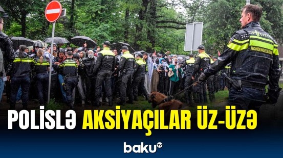 Niderlandda Fələstinə dəstək aksiyası | Polis müdaxilə etdi