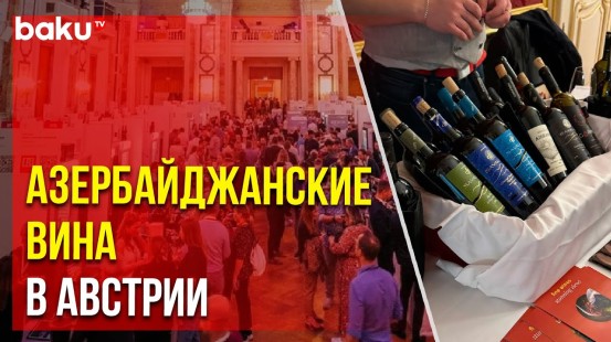 На крупнейшей выставке «VieVinum 2024» рассказали о развитии винодельческого сектора Азербайджана