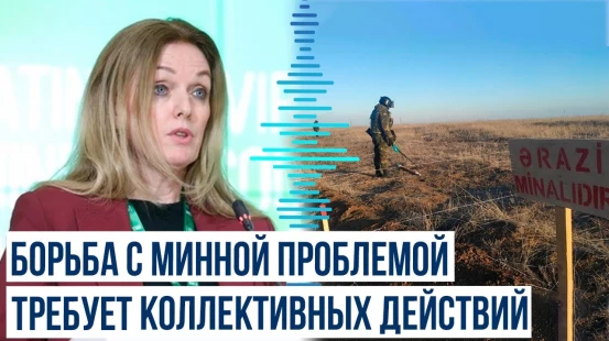 Помощник Генсека ПРООН выступила на международной конференции в Зангилане