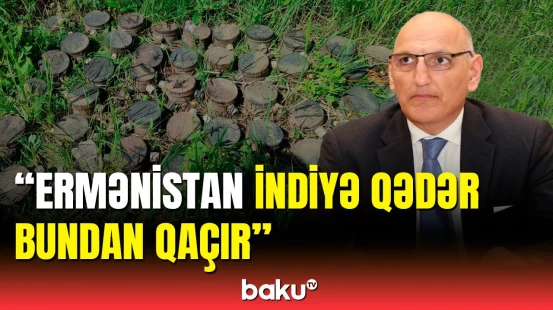 Azərbaycan bu məsələdə heç bir ölkədən yardım gözləmir | Elçin Əmirbəyov