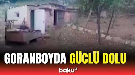 Goranboya düşən dolu yağışa çevrildi | Anbaan görüntülər