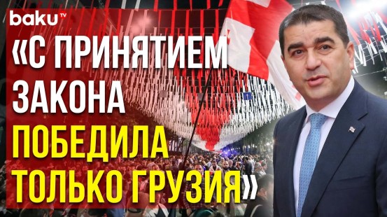 Глава парламента Грузии подписал законопроект об «иноагентах»