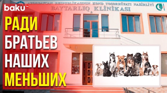 В Баку проходит «Миссия Добро», в рамках которой ветеринары обмениваются опытом