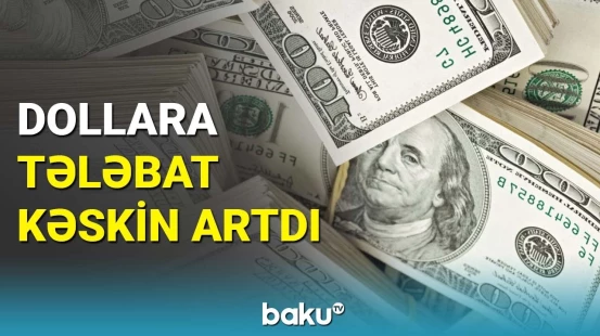 Dollara marağın artma səbəbi nədir? | Ekspertlər detalları açıqladı