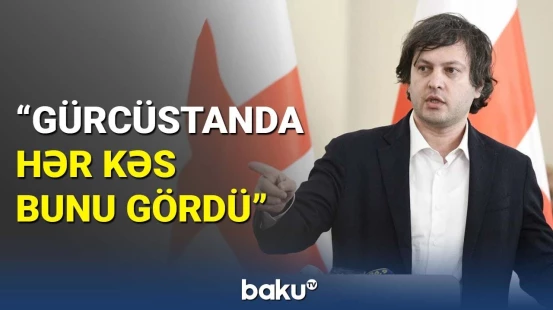 Kobaxidze söz verdi | Gürcüstan və Almaniya arasında nə baş verir?