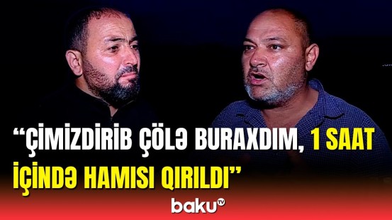 Şəmkirdə 36 inək bir gündə tələf oldu | AQTA hərəkətə keçdi