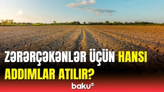 Qlobal istiləşmənin fəsadları necə aradan qaldırılacaq? - Nazir açıqladı