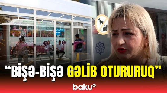 Dərdimizi kimə deyək? | Dayanacaqlarda suvenir rolunu oynayan kondisionerlər