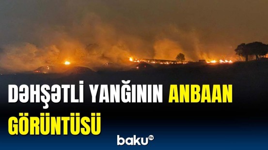 Türkiyədə otlaq sahədə güclü yanğın | Ölənlər və yaralananlar var