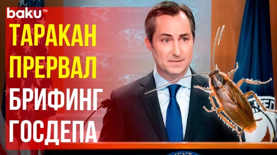 Мэтью Миллер на несколько секунд прервал брифинг для прессы из-за «большого таракана»