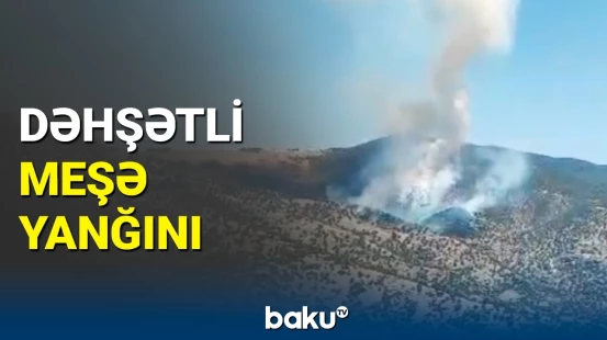 Türkiyənin Manisa şəhərində meşə yanır | Hadisə yerindən görüntülər