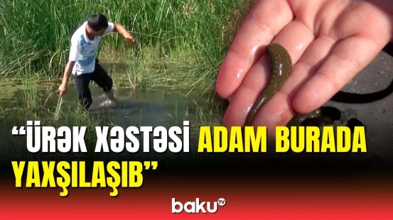 Şəfa istəyənlərin gəldiyi məkan | Kütləvi xəstəliyin qarşısını burada almışdılar