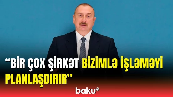 Prezident yaşıl enerjinin ölkəmiz üçün əhəmiyyətindən danışdı