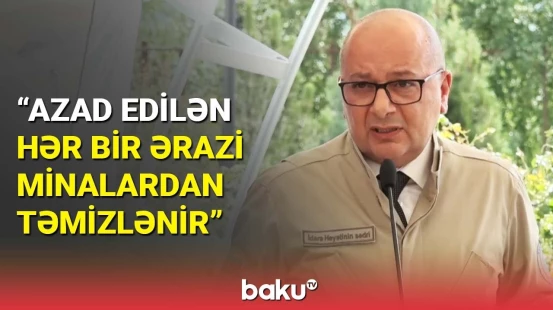 Bu ilin minatəmizləmə planında neçə hektar ərazi var? | Vüqar Süleymanovdan açıqlama