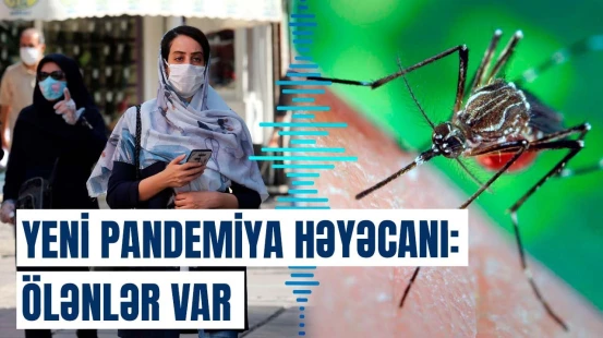 Qonşu ölkədən ağır xəstəlik yayılır | Sərhəd-keçid məntəqələri mütləq...