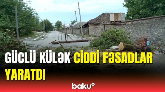 Şəkidə güclü külək və leysan rabitə xətlərinə ziyan vurdu