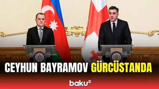 Ceyhun Bayramov gürcüstanlı həmkarı ilə nələri müzakirə etdi?