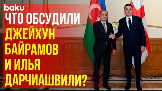 В Тбилиси состоялась встреча глав МИД Азербайджана и Грузии