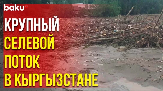 Сель в зоне отдыха Абшыр-Ата в киргизском городе Ноокате, спасатели переправляют людей через реку