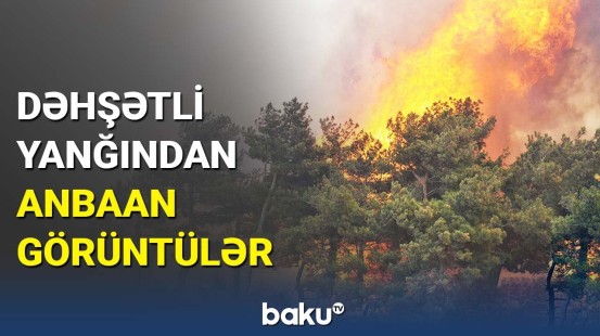 Türkiyədə meşə yanğınları davam edir