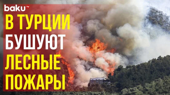 Горят лесные массивы провинций Измир, Чанаккале и Айдын в Турции, в регионе работают пожарные