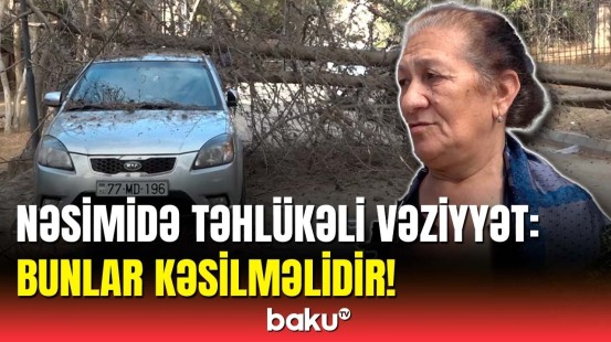 Nəsimi rayonunda qorxulu hadisə | Sakinlər Baku TV-yə danışdı