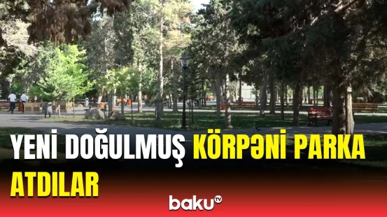 DİN-dən təcili açıqlama | Suraxanıda dəhşətli hadisə