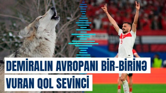 Bozqurd işarəsi, əslində, nə mənaya gəlir? | Türk futbolçunun qalmaqallı hərəkəti