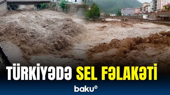 Ordu və Muş şəhərlərində daşqın | Ölənlər var